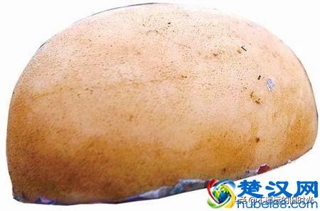 “太岁”究竟是个什么东西？来看看全国所发现的部份“太岁”长得啥样