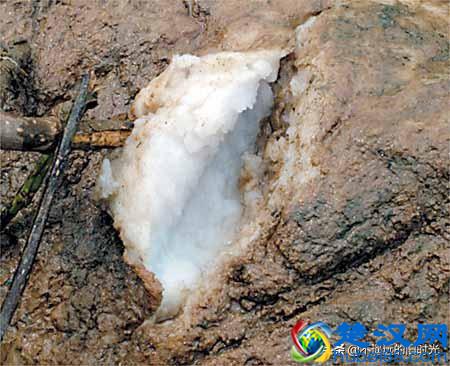 “太岁”究竟是个什么东西？来看看全国所发现的部份“太岁”长得啥样