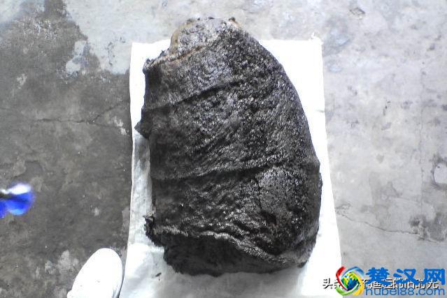 “太岁”究竟是个什么东西？来看看全国所发现的部份“太岁”长得啥样