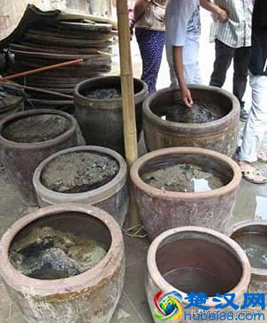 “太岁”究竟是个什么东西？来看看全国所发现的部份“太岁”长得啥样