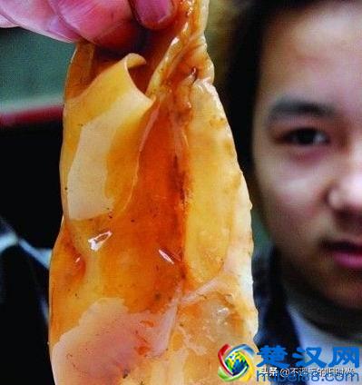 “太岁”究竟是个什么东西？来看看全国所发现的部份“太岁”长得啥样