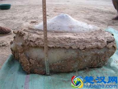 “太岁”究竟是个什么东西？来看看全国所发现的部份“太岁”长得啥样