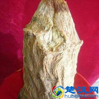 “太岁”究竟是个什么东西？来看看全国所发现的部份“太岁”长得啥样