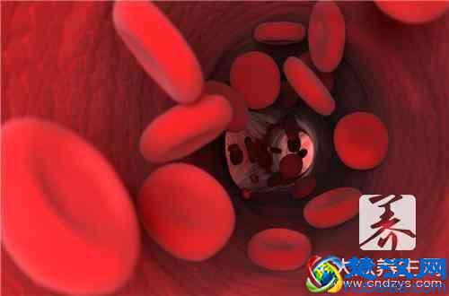 橄榄油的功效与作用，橄榄油有哪些作用？