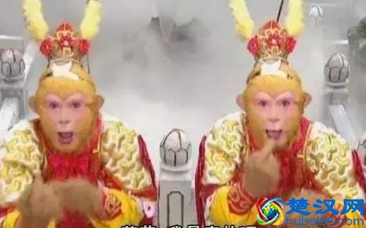 克隆猴诞生,克隆人也不远了?其实是你想多了