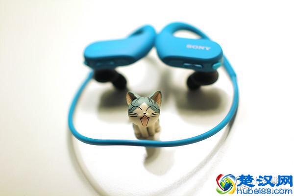 本站第二晒：我的运动MP3之选 骚尼大法好 NW-WS414