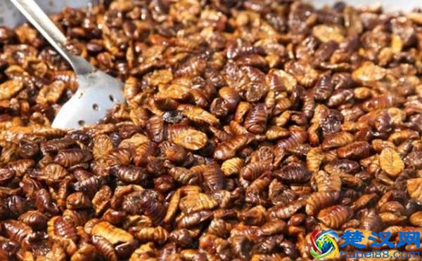 韩国有哪些街头小吃？