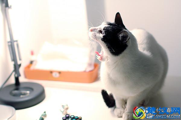 本站第二晒：我的运动MP3之选 骚尼大法好 NW-WS414