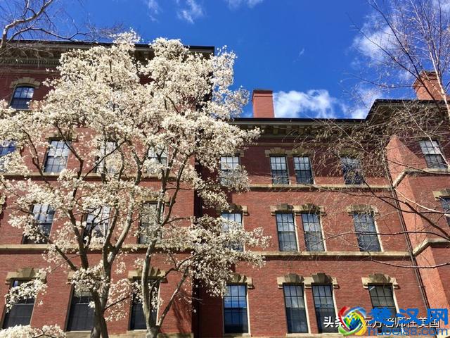 随拍世界顶尖大学哈佛