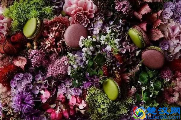 “少女的酥胸”是什么滋味？不是所有马卡龙都能这样形容啊