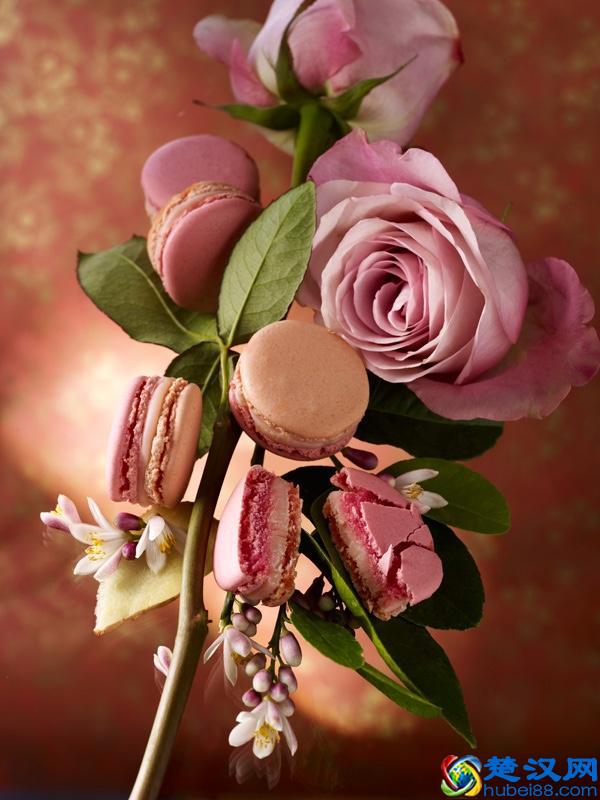 “少女的酥胸”是什么滋味？不是所有马卡龙都能这样形容啊