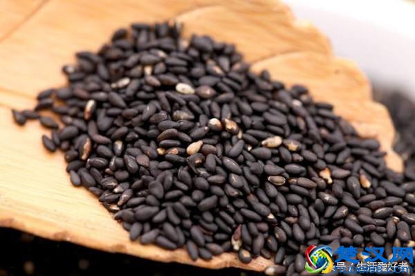 脱发、生发保养须知，日常生活中防脱生发食物怎么用