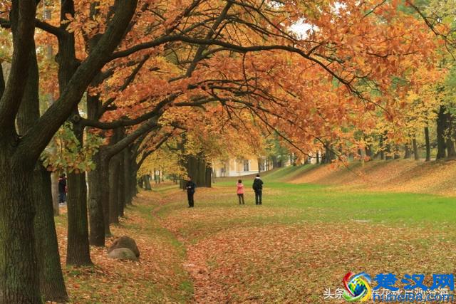 这个国家与我国互免签证，景色举世无双，更是美女如云