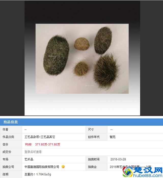 你见过猪跑，吃过猪肉，但是你见过猪砂吗？