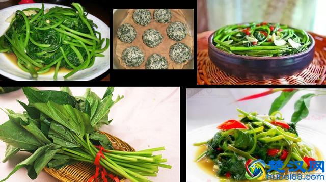 收藏丨8种最好的茎尖菜用型红薯品种