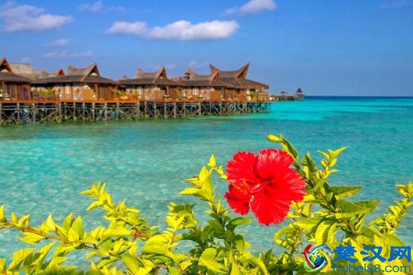 马来西亚说什么语言？