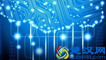 未来10年，这5个大学专业最热门、最有优势，你了解吗？