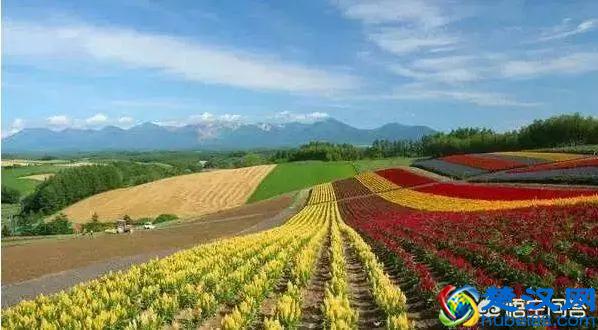 传统农业的概念是什么？现代农业的概念是什么？