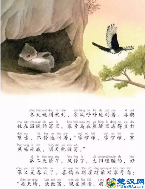 寒号鸟不是鸟是什么动物 寒号鸟为什么不是鸟