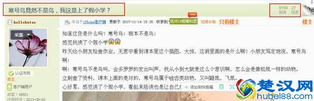 寒号鸟不是鸟是什么动物 寒号鸟为什么不是鸟