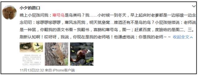 寒号鸟不是鸟是什么动物 寒号鸟为什么不是鸟