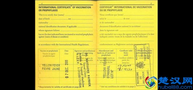 科普：美国绿卡、黄卡、白卡分别是什么？