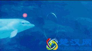 我在脱毛吧卧底了1个月，想知道她们3000块的激光脱毛效果咋样