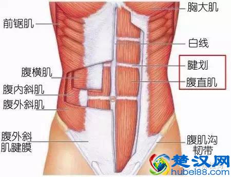 你居然不知道女生练「人鱼线」腰会变粗！