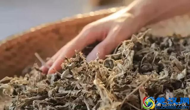 我所了解的艾绒，不一般