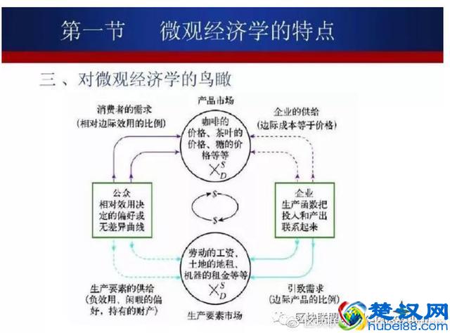 每天学点经济学｜经济学的本质是什么？