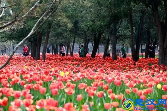 千万别来山西上大学，别怪我没告诉你！