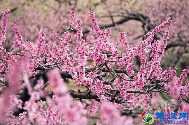 千万别来山西上大学，别怪我没告诉你！