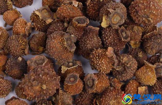 刺梨干价格多少钱一斤 刺梨干有什么功效