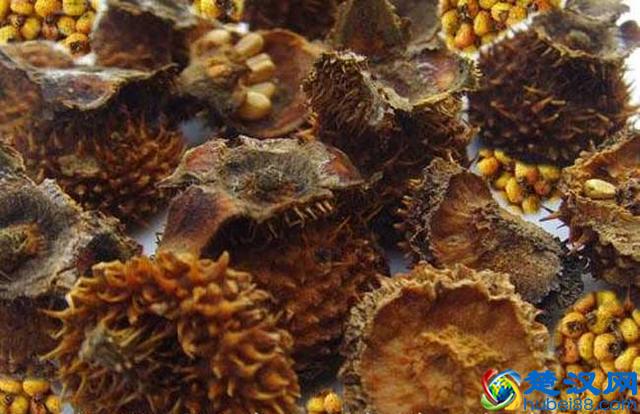 刺梨干价格多少钱一斤 刺梨干有什么功效