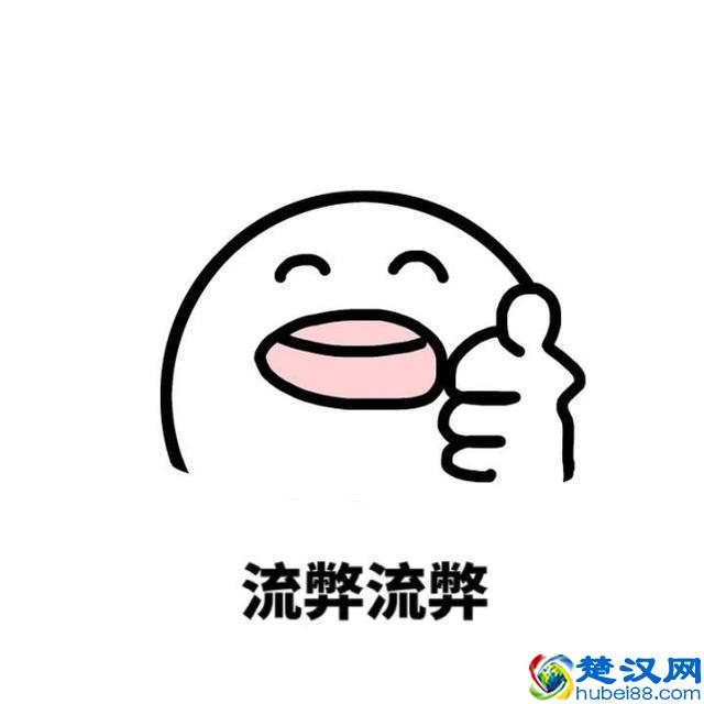 荷兰猪年龄判断和换算