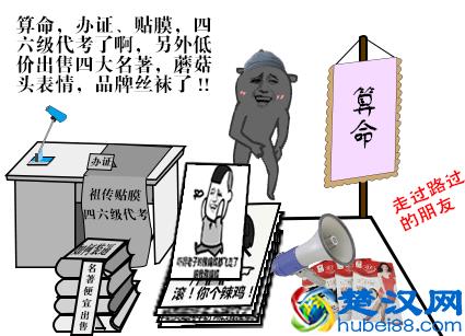 荷兰猪年龄判断和换算