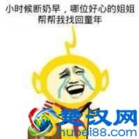 荷兰猪年龄判断和换算