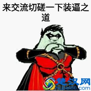 荷兰猪年龄判断和换算