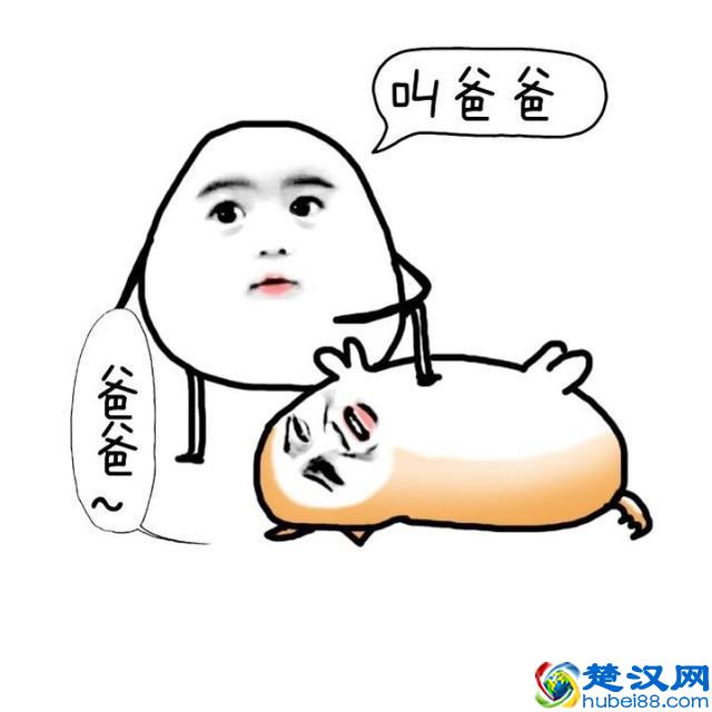 荷兰猪年龄判断和换算