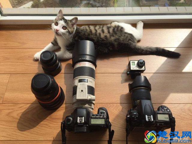 有人说小资是一种逼格，你觉得呢？