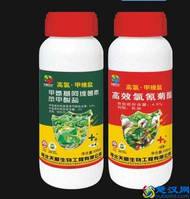 什么药杀臭虫最好 四种药轻松除臭虫