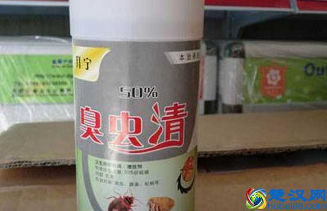 什么药杀臭虫最好 四种药轻松除臭虫