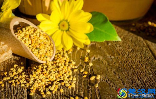 市场上那些不含杂质的蜂蜡是如何做成的？老蜂农一步步教你