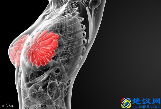 为何天生乳头大乳房小？一般由这2个原因引起