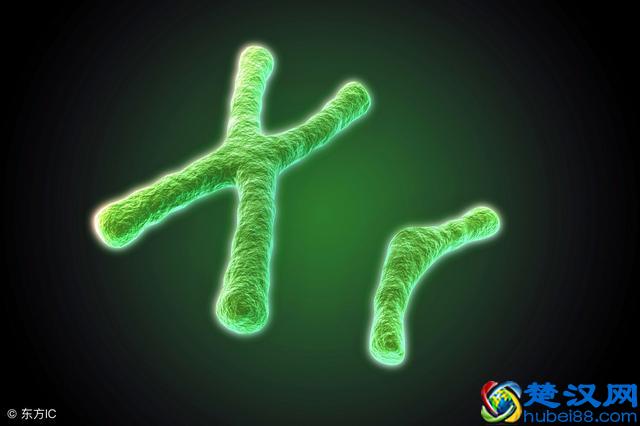 为何天生乳头大乳房小？一般由这2个原因引起