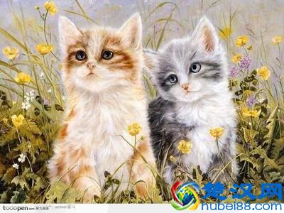 常见象声词（拟声词）大全