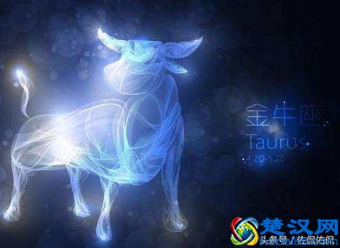 上升星座到底是什么鬼？很多人都不知道