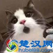 2019最全江苏高校寒假时间出炉！最长竟然有47天！