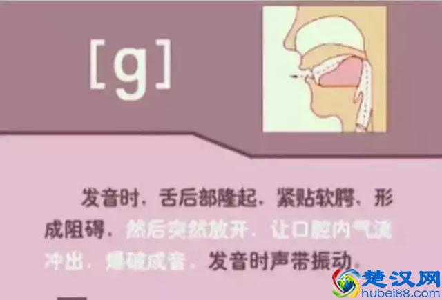 48个国际英语音标发音表及口型，好东西必须珍藏！文末有福利