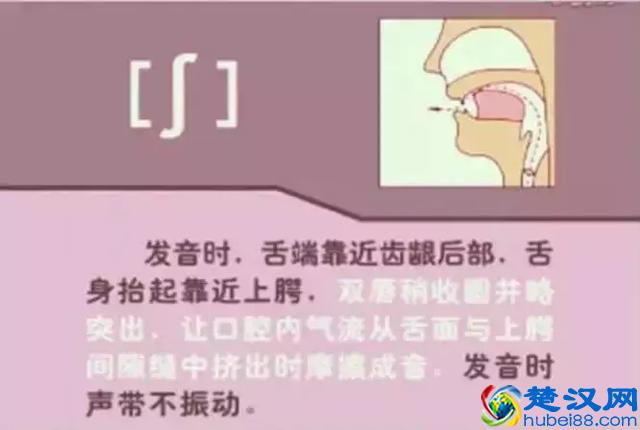 48个国际英语音标发音表及口型，好东西必须珍藏！文末有福利